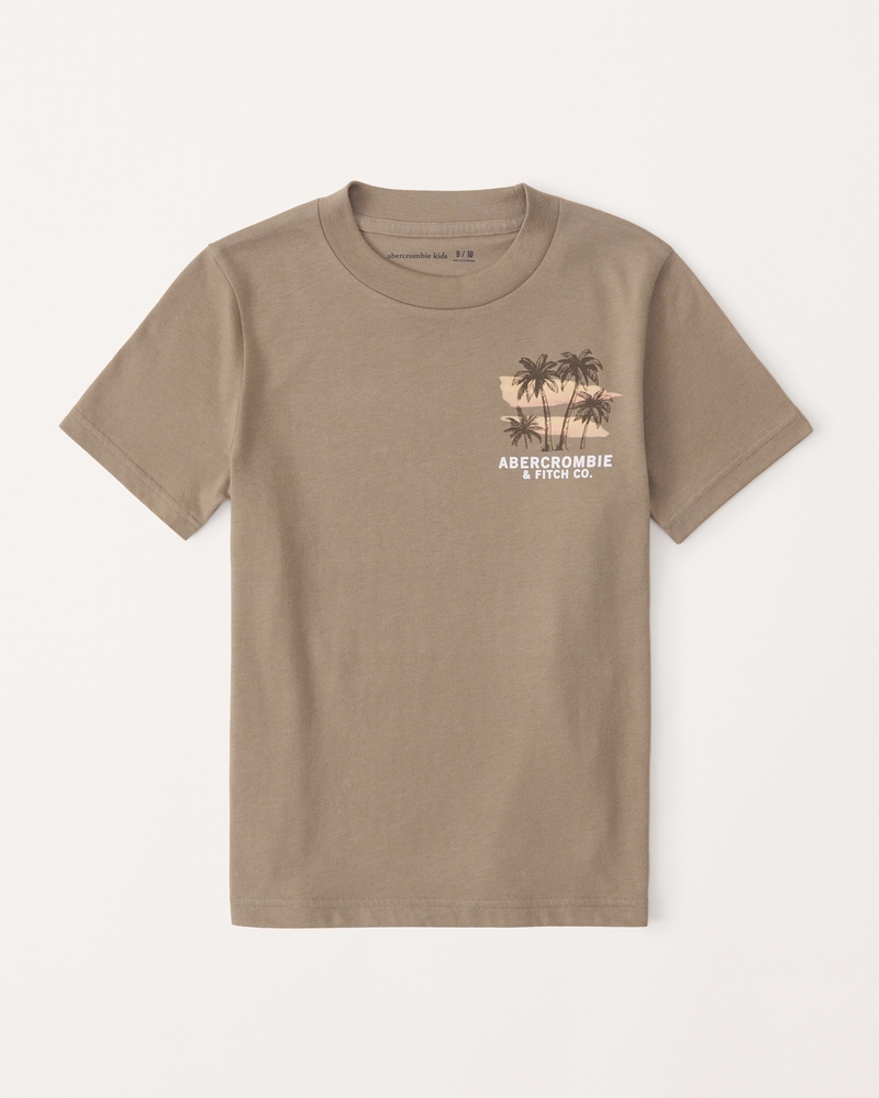 Boy Graphic Tee - SB2505062