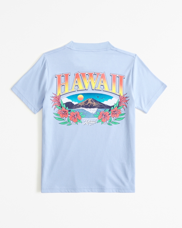 hawaii graphic tee, Blue