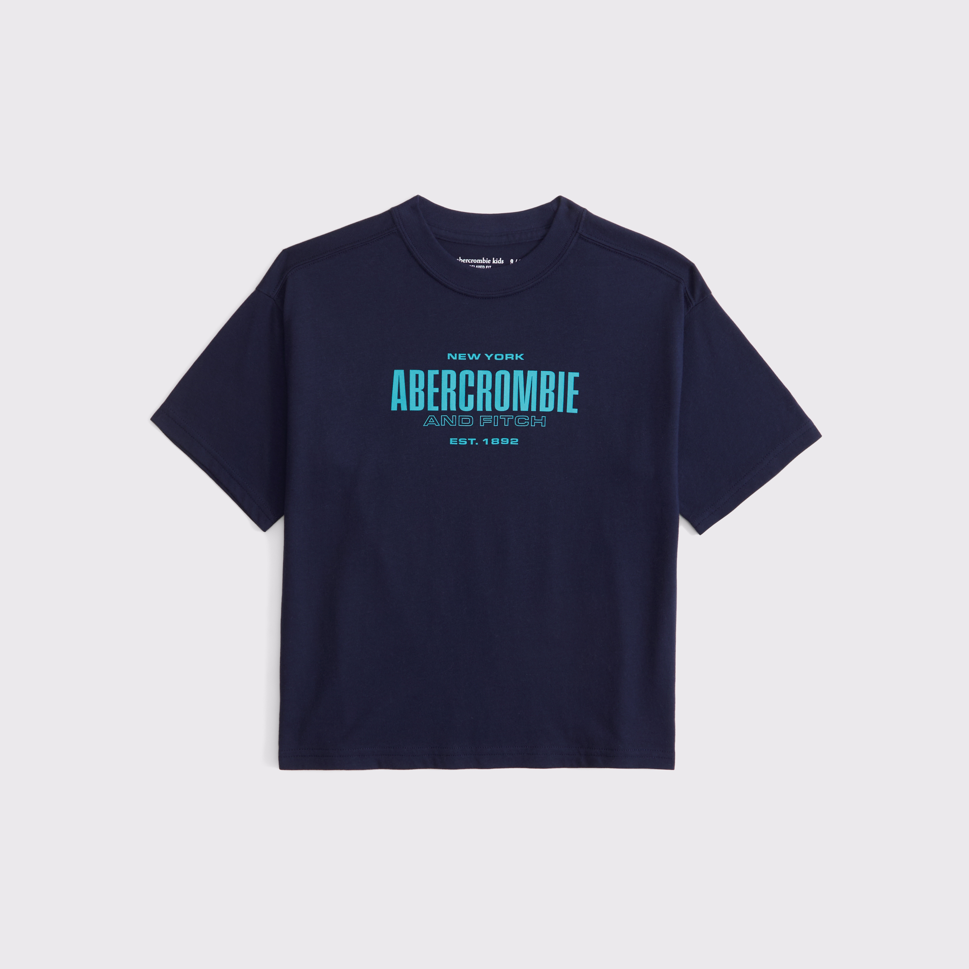 Abercrombie & Fitch Kids' Relaxed Logo Tee In Purple