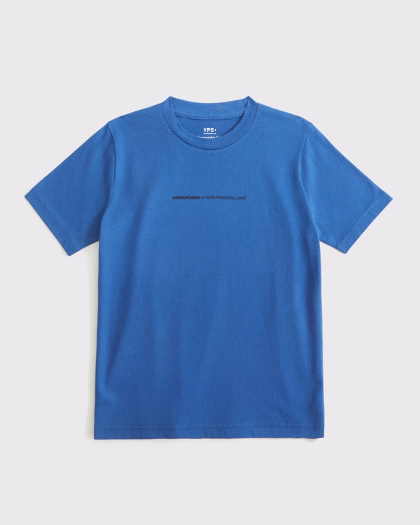 ypb imagery graphic logo tee, Hazy Blue view 2