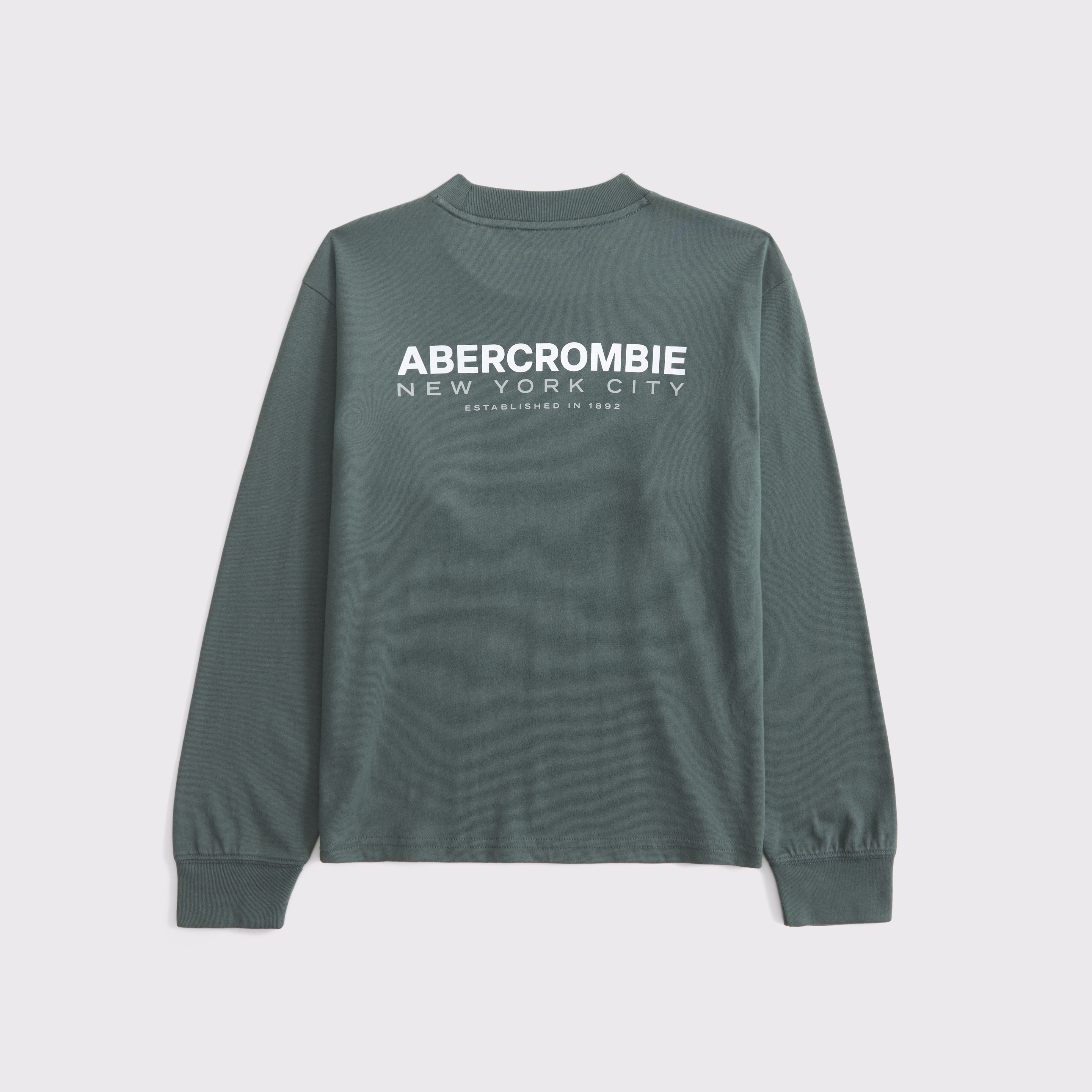Abercrombie & Fitch Kids' Long-sleeve Logo Tee In Green