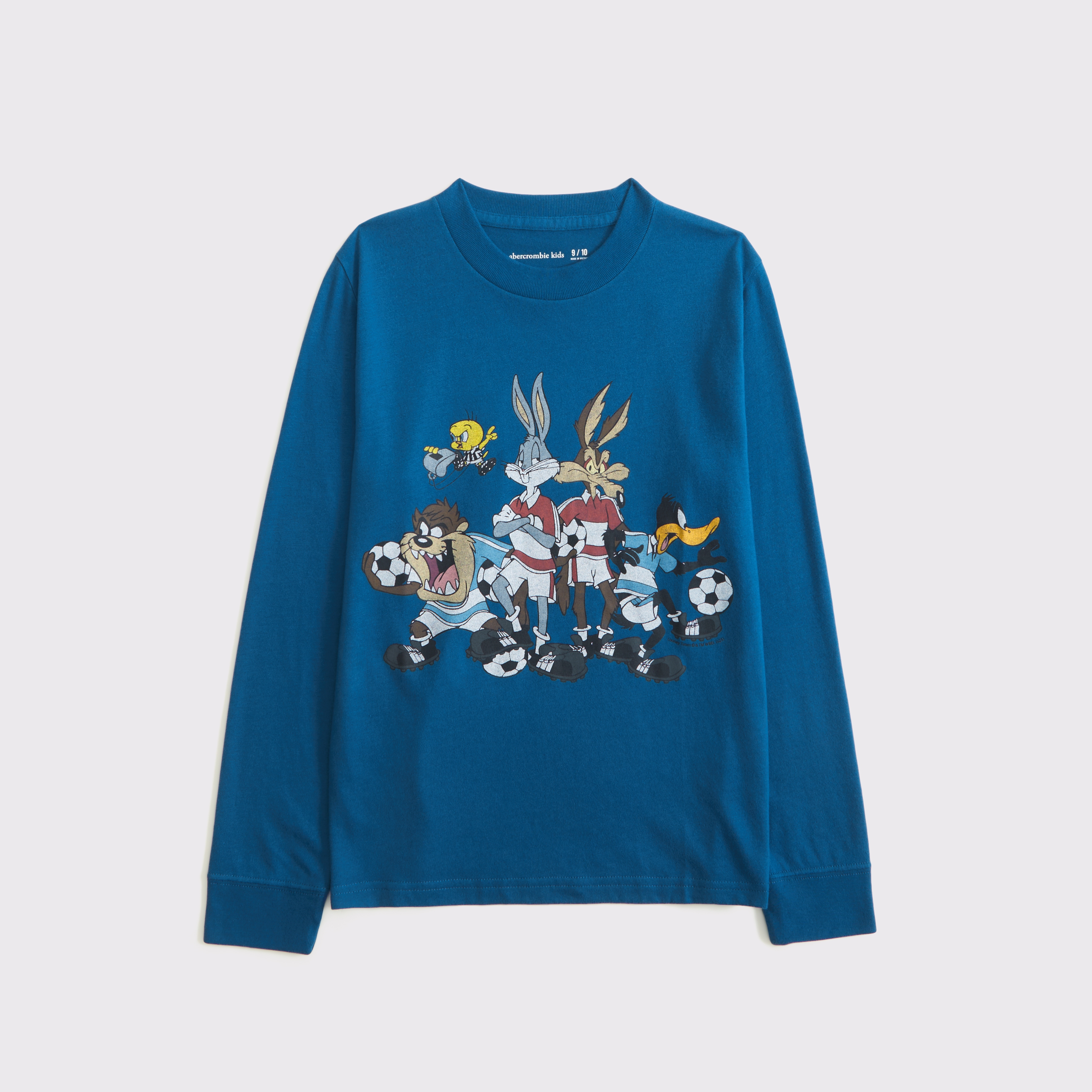 Abercrombie & Fitch Kids' Long-sleeve Looney Tunes Graphic Tee In Blue