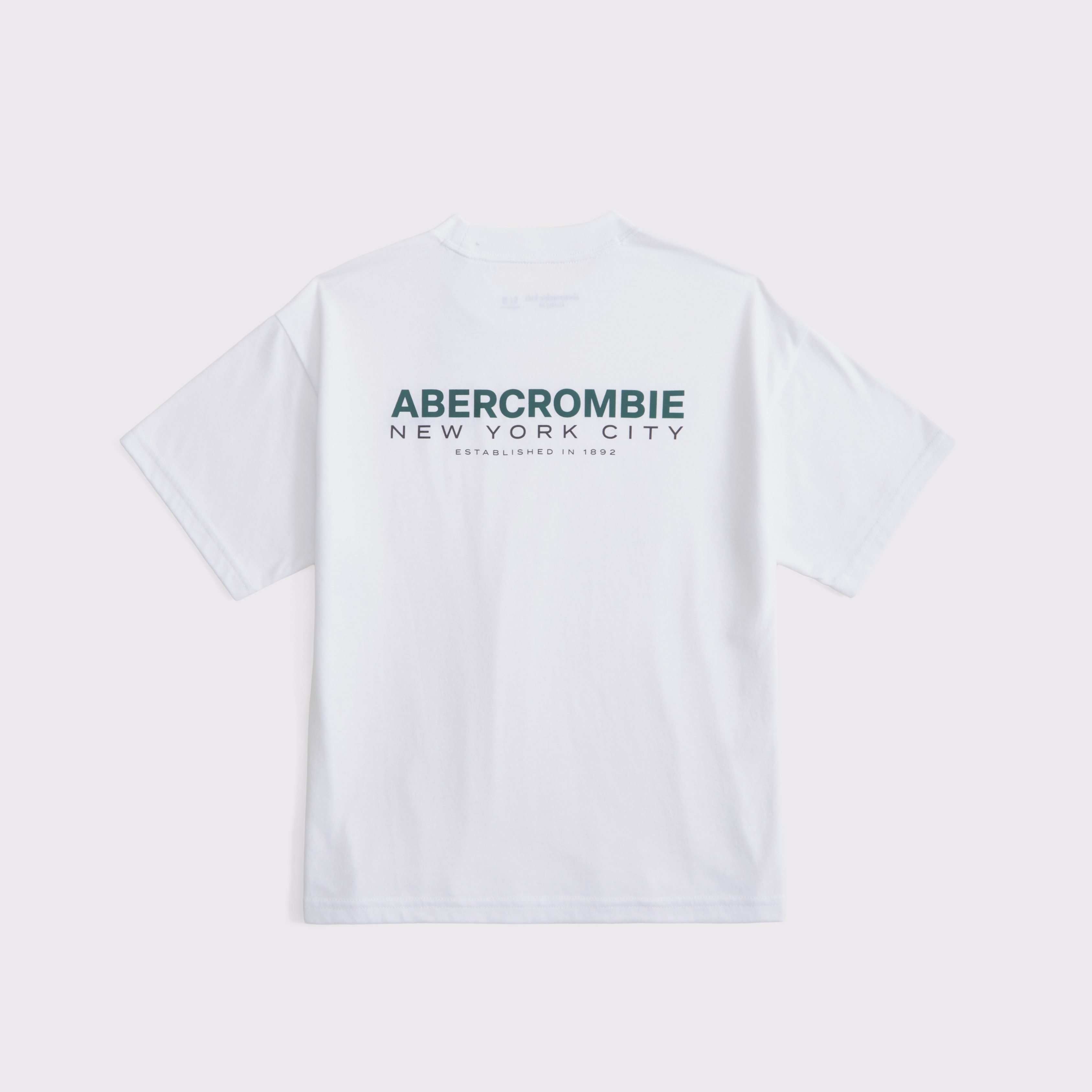 Abercrombie & Fitch Kids' Logo Tee In White