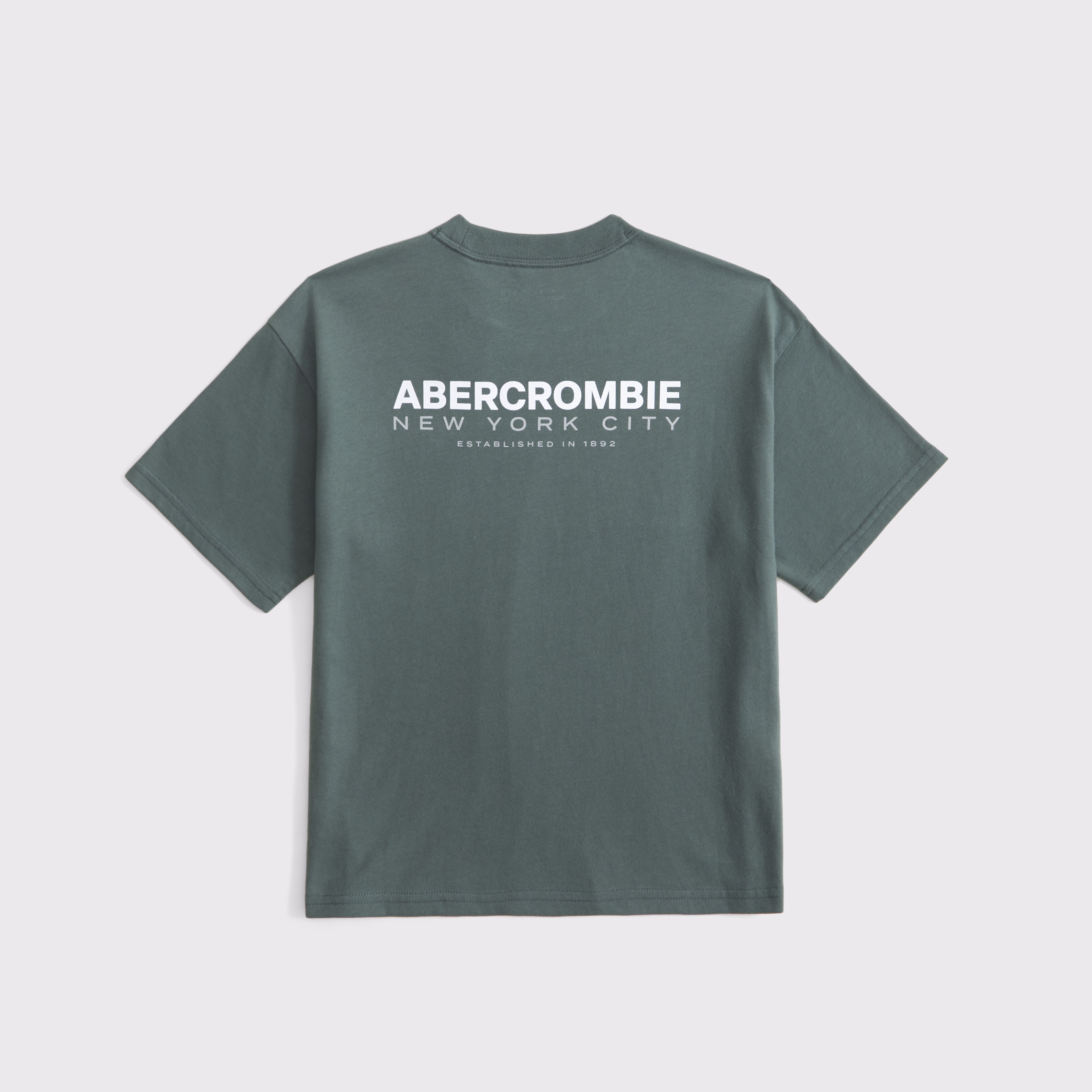 Abercrombie & Fitch Kids' Logo Tee In Green
