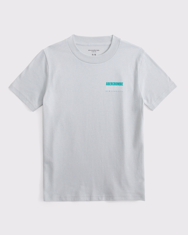 graphic logo tee, Gray view 2