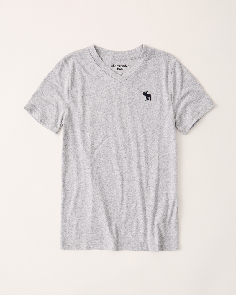 abercrombie icon tee