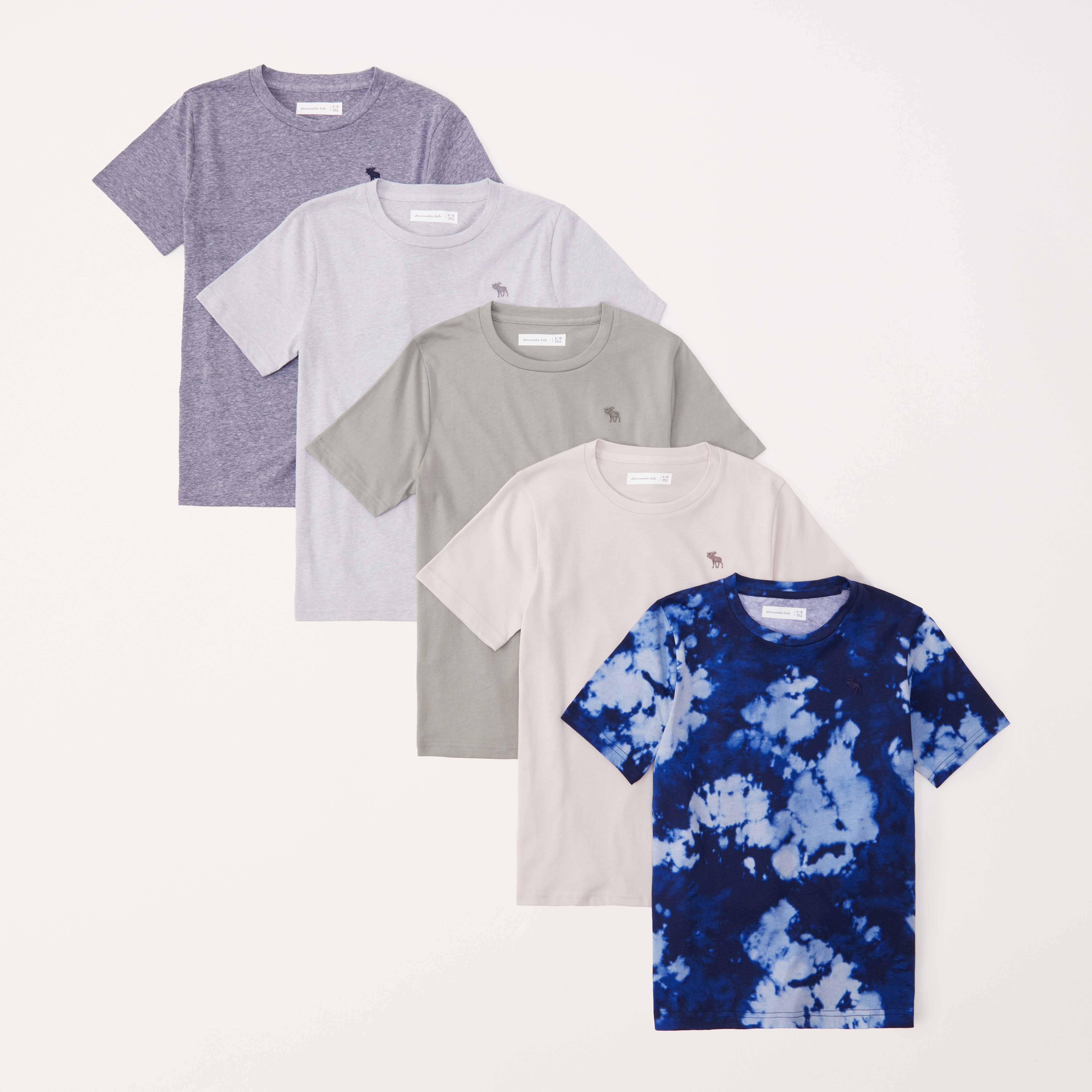 Abercrombie & Fitch Kids' 5-pack Icon Crew Tees In Multi