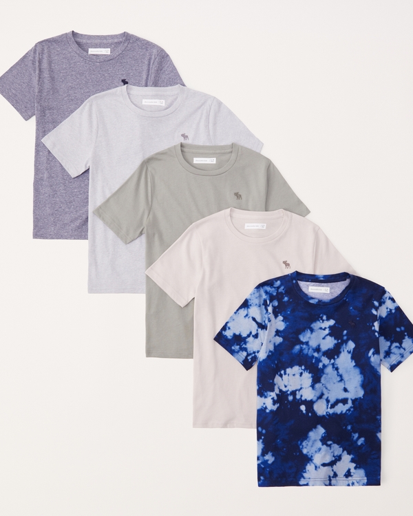 5-pack icon crew tees, Blue Dye Multi view 1