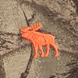 camo
