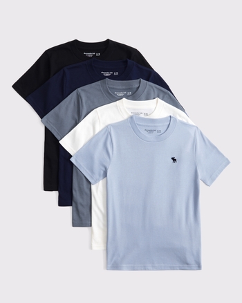 5-pack essential icon crew tees