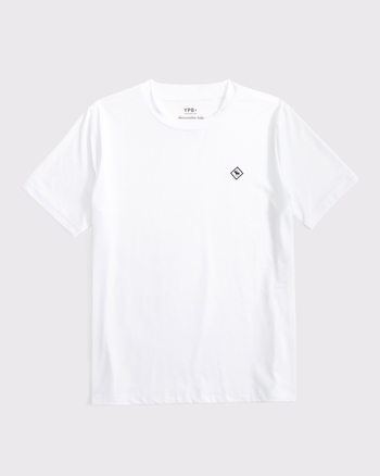 Abercrombie & Fitch ypb active tee