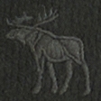 dark spruce