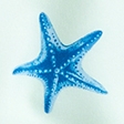 mint pattern