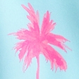 turquoise palm trees