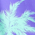 purple palm tree