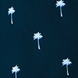 palm tree