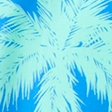 blue palm
