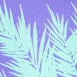purple palm pattern