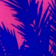 pink palm pattern