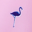pink flamingo pattern