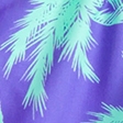 purple palm tree