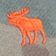 camo