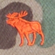 camo