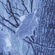 blue camo
