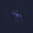 icon polo
