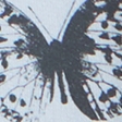 ballet blue