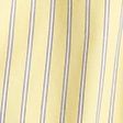 yellow stripe