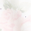 white floral
