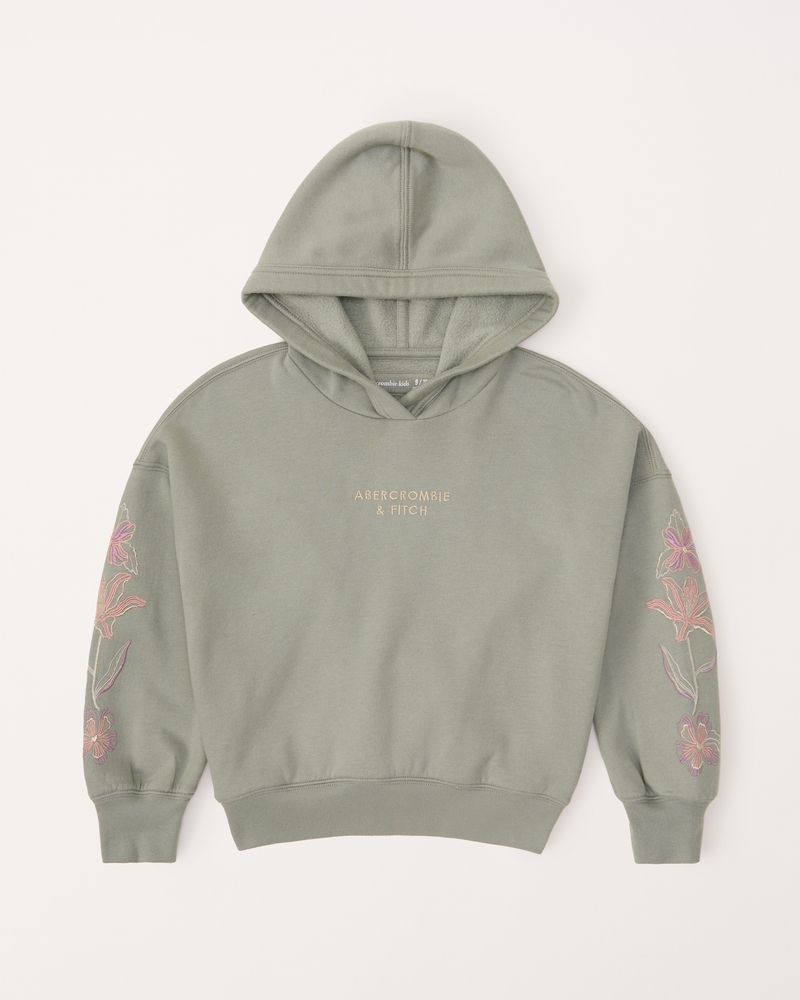 Abercrombie box clearance logo hoodie