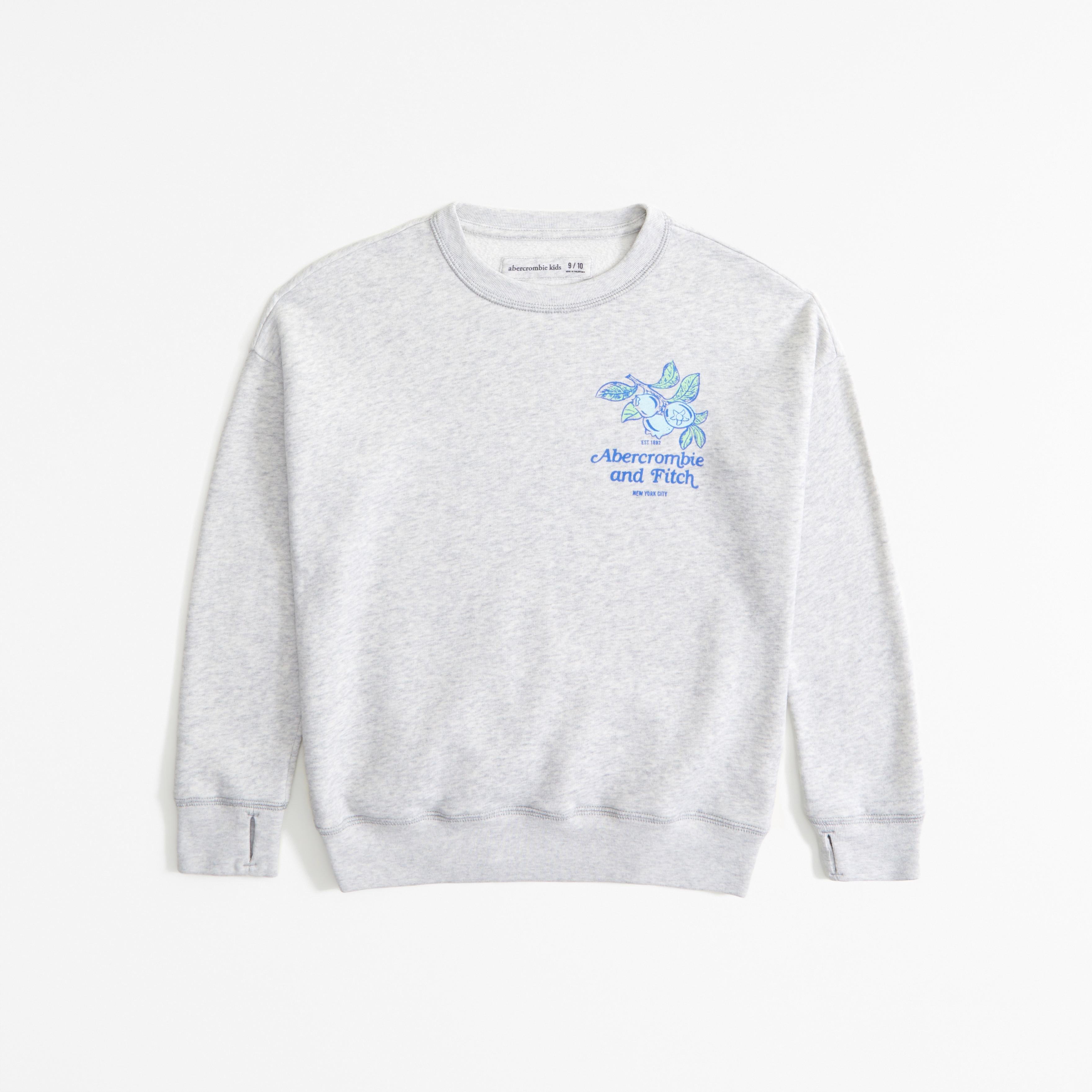 Abercrombie sweatshirt online