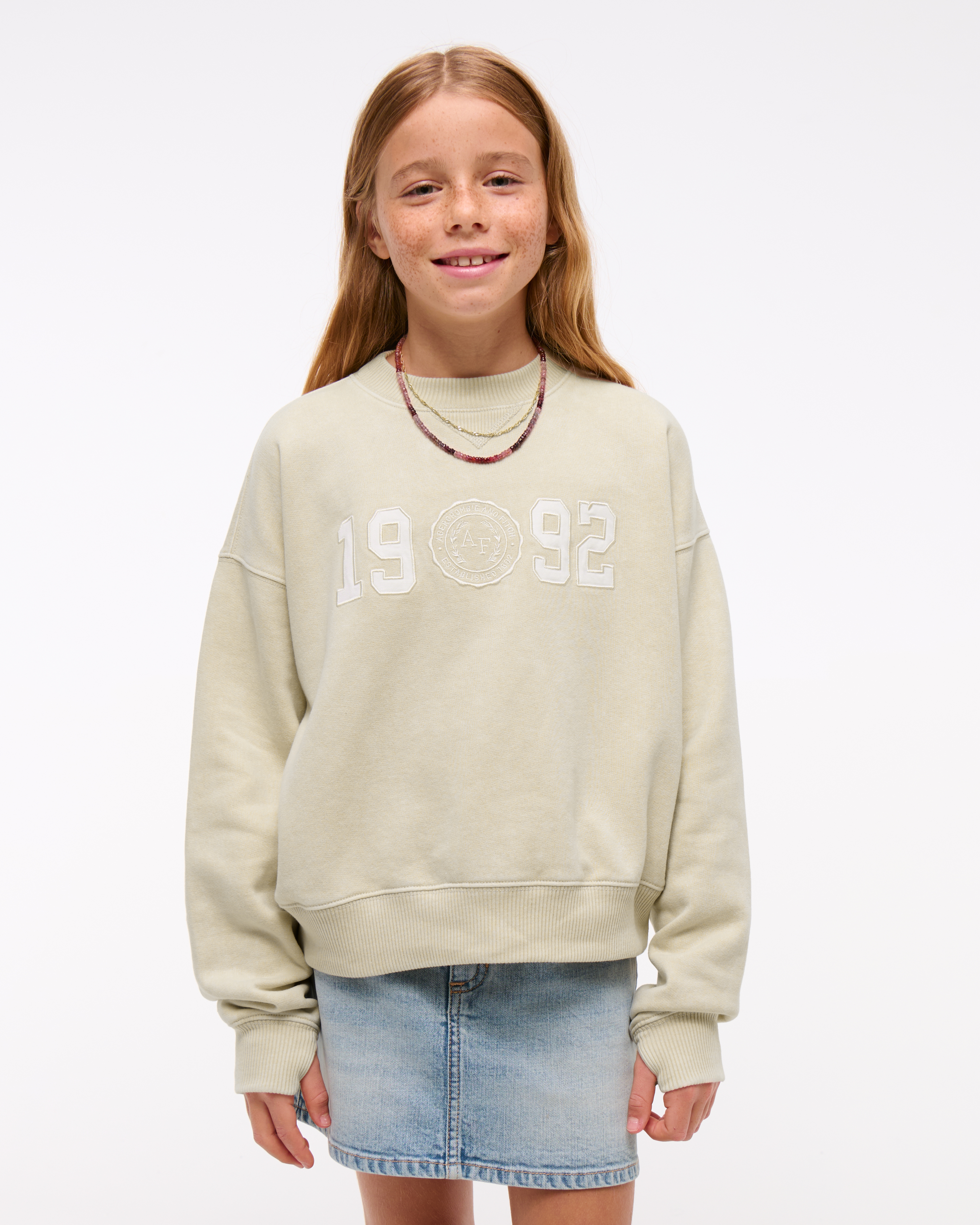 Abercrombie & Fitch Kids' Logo Crew Sweatshirt In Brown