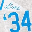 light gray - lions