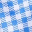 blue gingham
