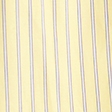 yellow stripe