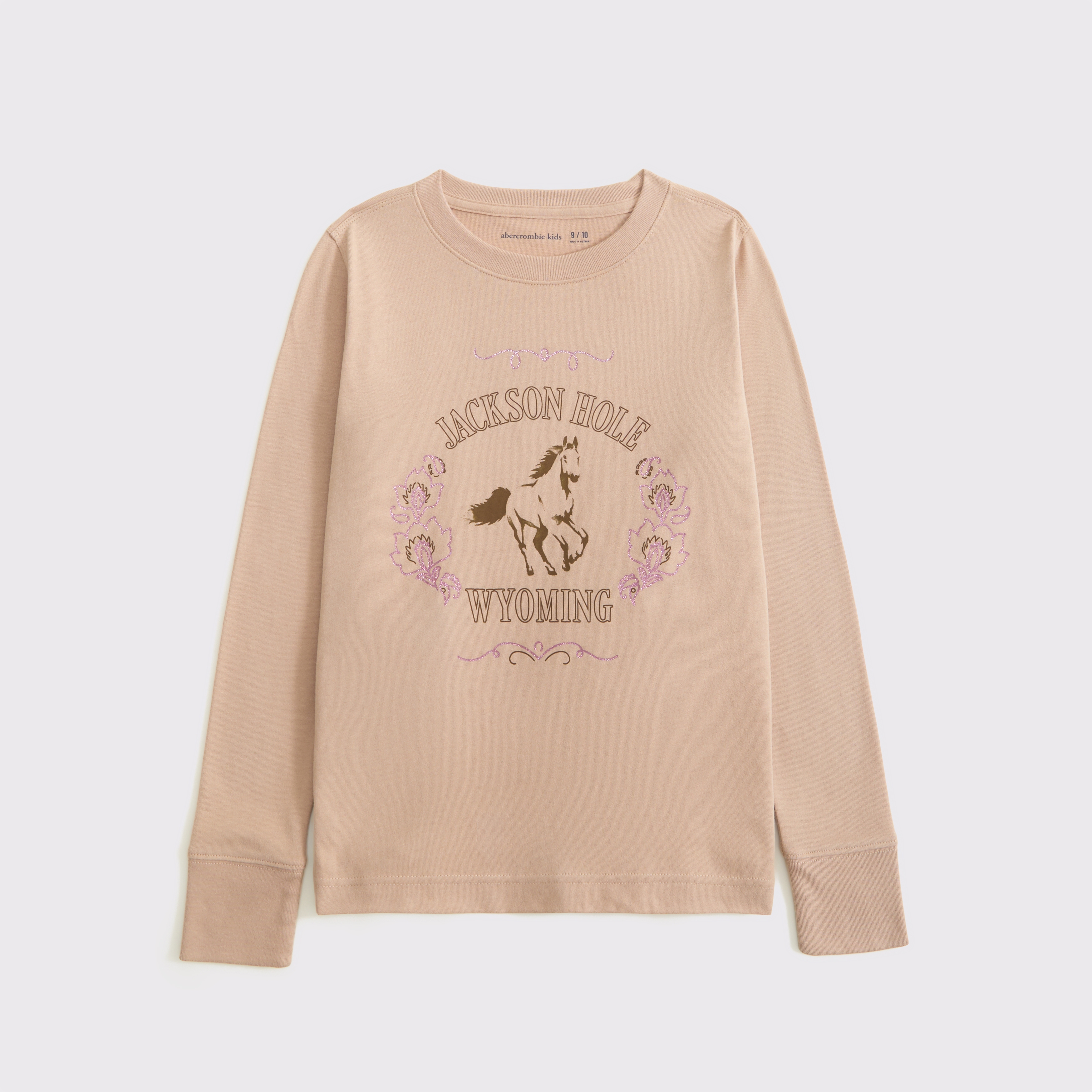 Abercrombie & Fitch Kids' Oversized Long-sleeve Graphic Tee In Brown