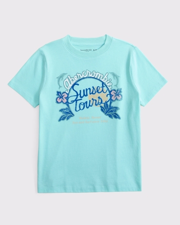 graphic tee from Abercrombie & Fitch - $22.95