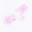 pink floral