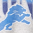 light gray - lions
