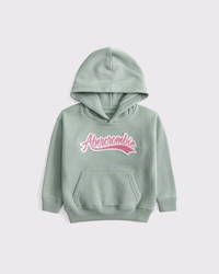 toddler logo popover hoodie