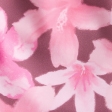 pink pattern
