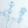 blue print