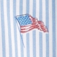 light blue print