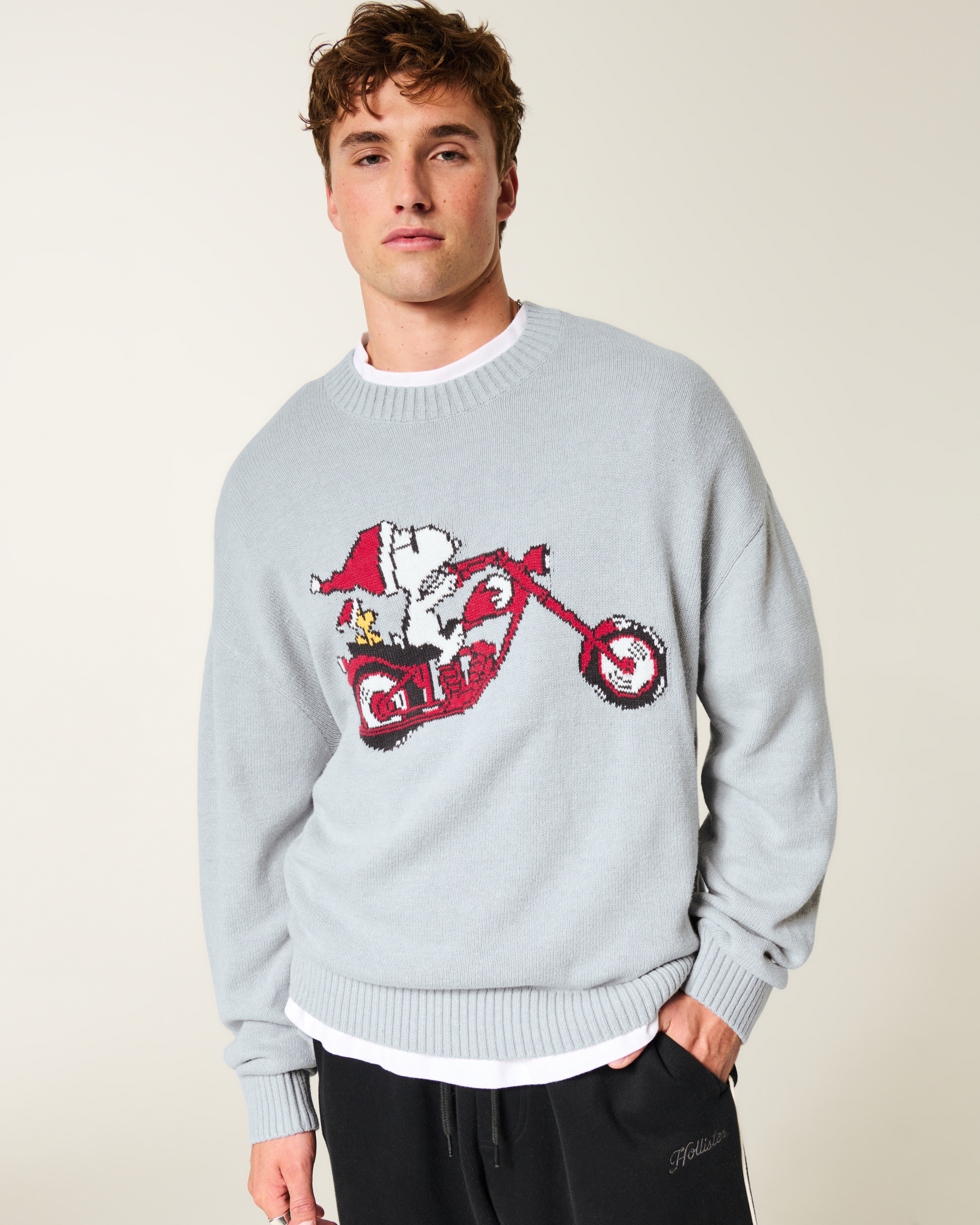 Мужские свитеры Hollister Boxy Snoopy Graphic Crew Sweater — фото 2