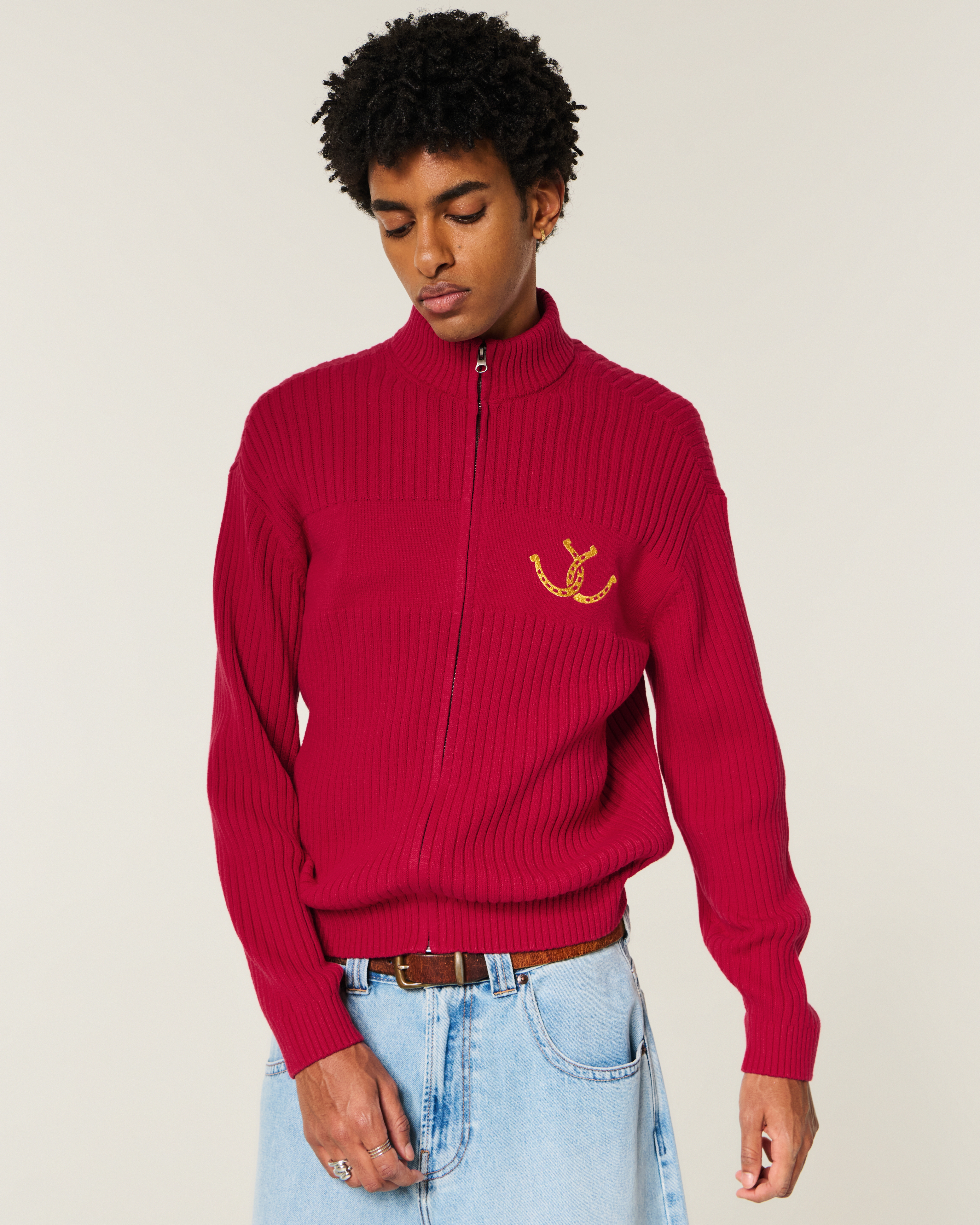 Мужские свитеры Hollister Relaxed Zip-Up Horseshoe Graphic Sweater — фото 2
