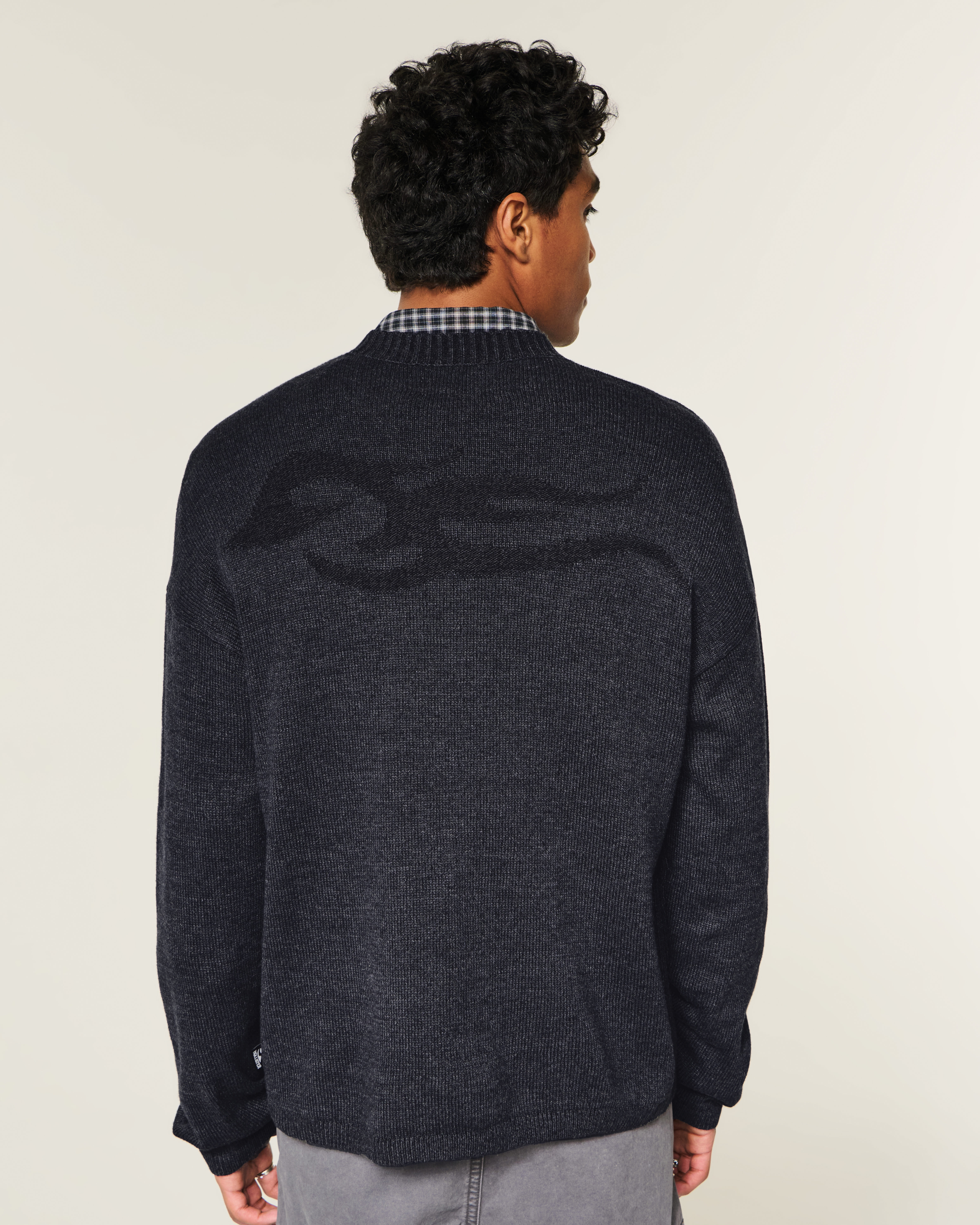 Мужские свитеры Hollister Boxy Graphic Crew Sweater — фото 3