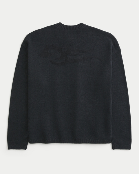 Мужские свитеры Hollister Boxy Graphic Crew Sweater
